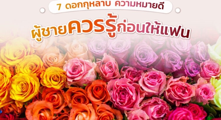 7 ความหมายของดอกกุหลาบที่ผู้ชายควรรู้