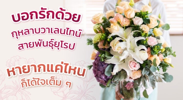 สื่อภาษารักด้วยกุหลาบวาเลนไทน์สายพันธุ์ยุโรป